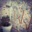 Wall decorated with sea shells in a flower pattern